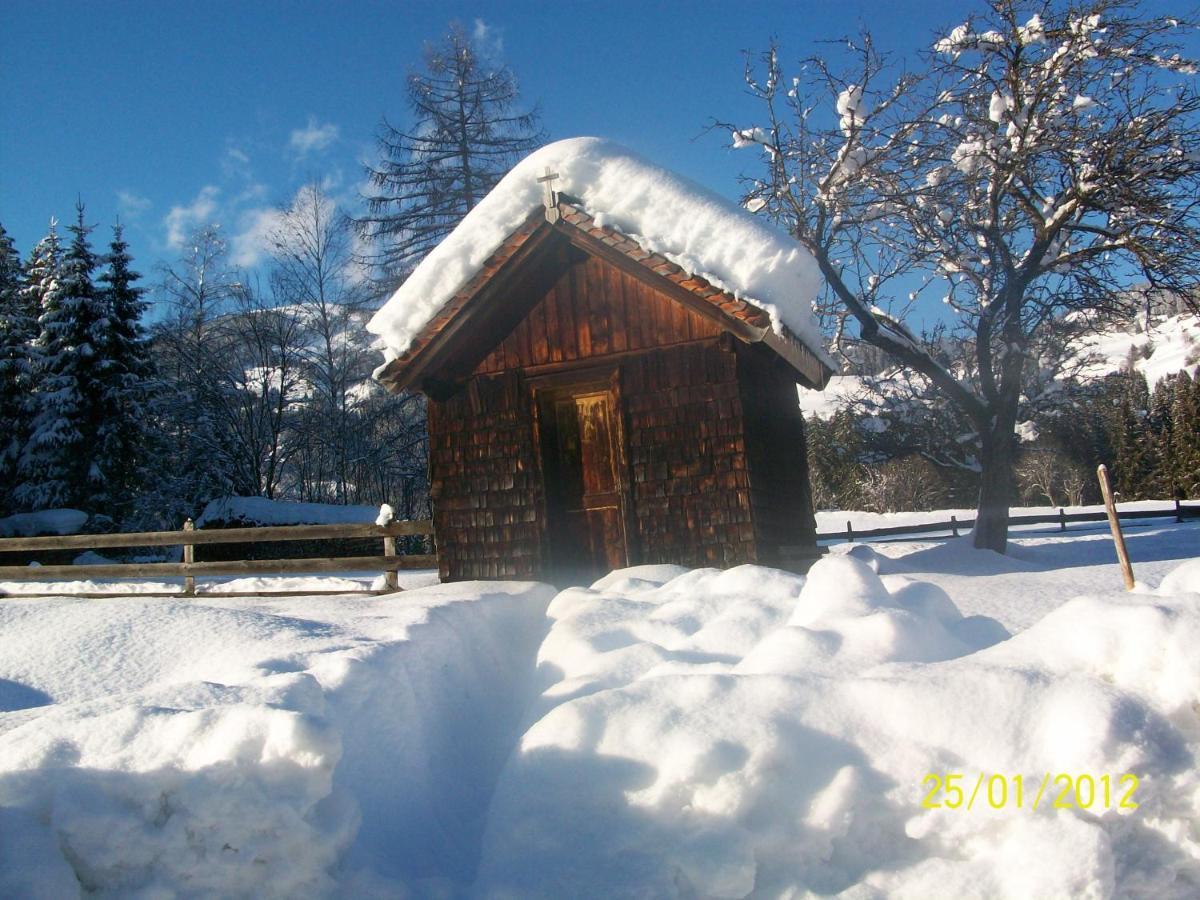 Mitterhaidgut Villa Hollersbach im Pinzgau Exteriör bild