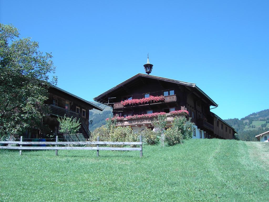 Mitterhaidgut Villa Hollersbach im Pinzgau Exteriör bild