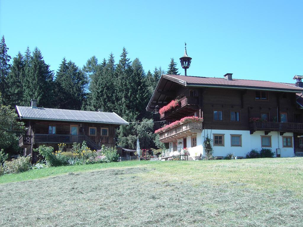 Mitterhaidgut Villa Hollersbach im Pinzgau Exteriör bild