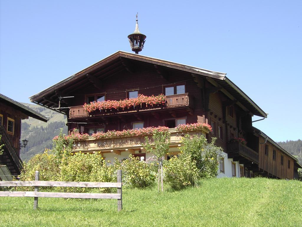 Mitterhaidgut Villa Hollersbach im Pinzgau Exteriör bild