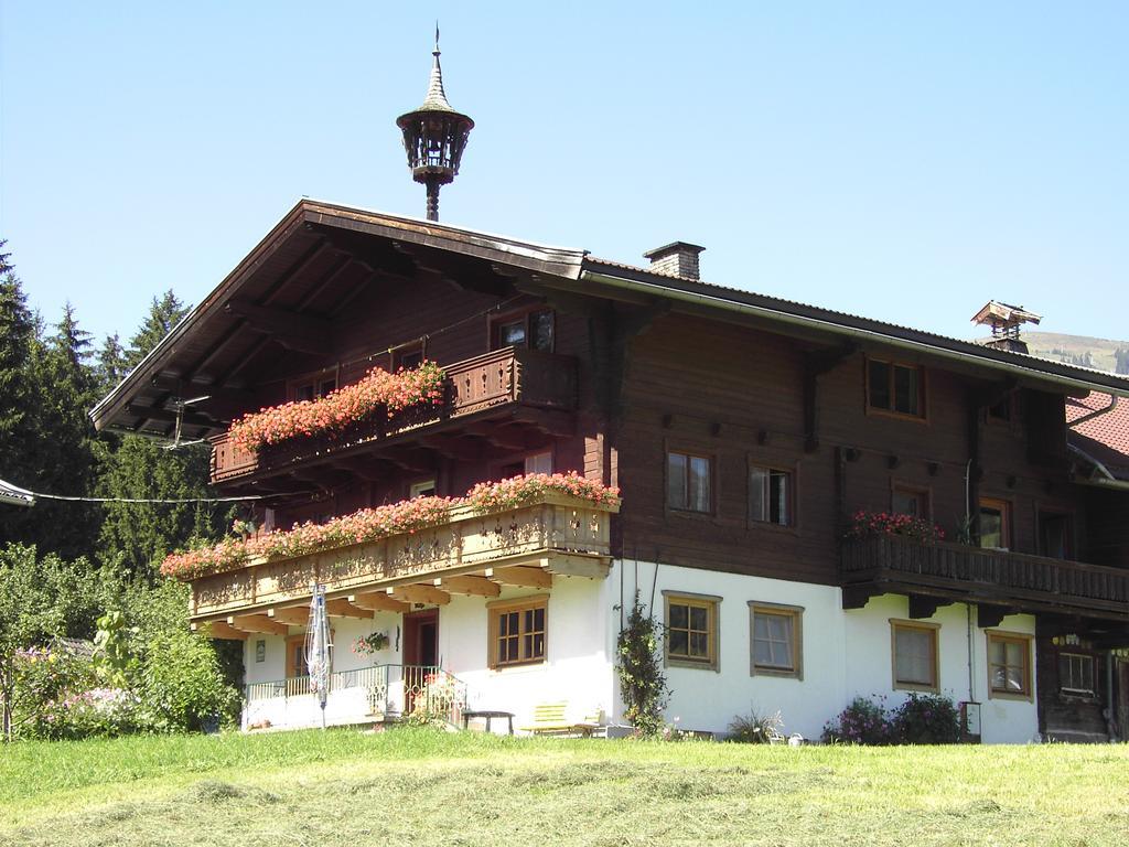 Mitterhaidgut Villa Hollersbach im Pinzgau Exteriör bild